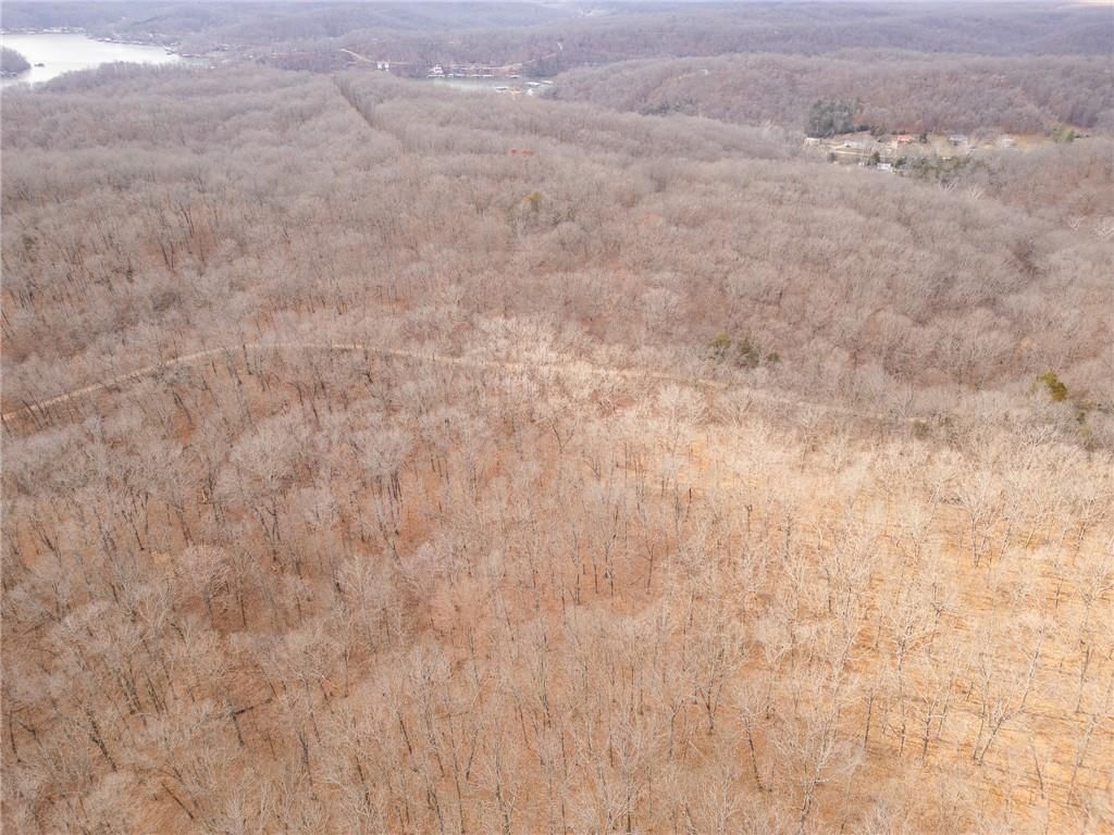 80 +/- Acres Proctor Lane — photo 44