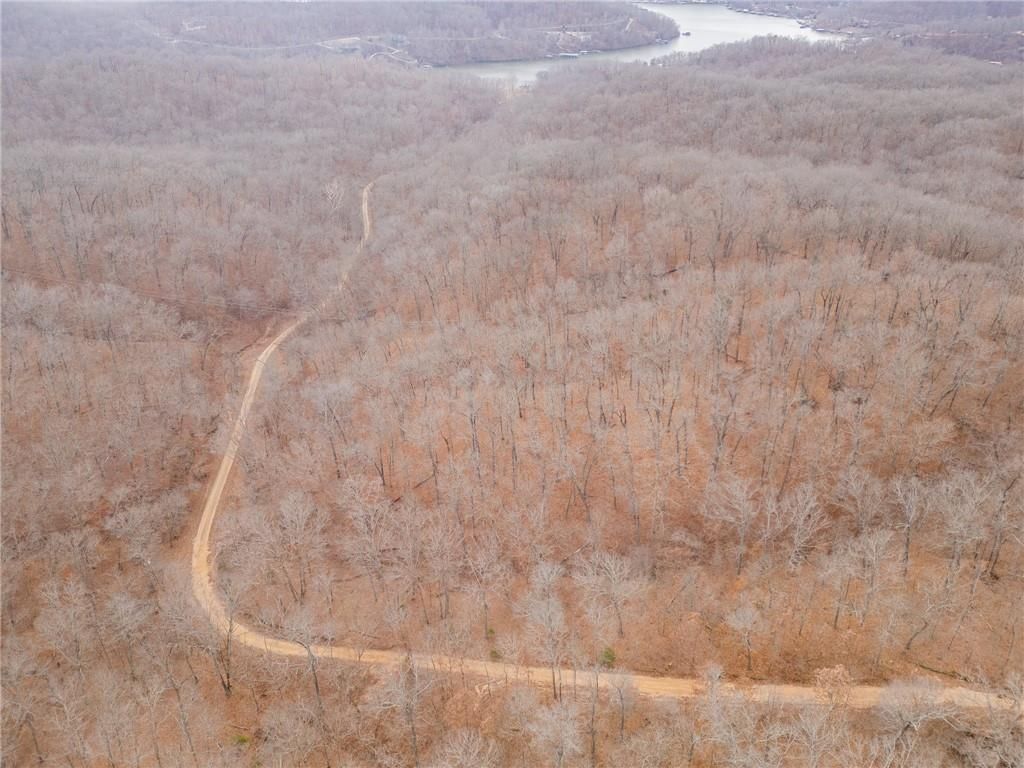 80 +/- Acres Proctor Lane — photo 47