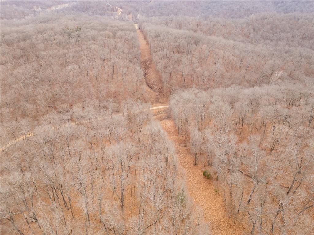 80 +/- Acres Proctor Lane — photo 49