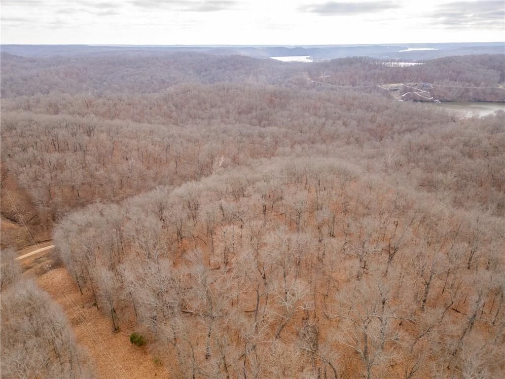 80 +/- Acres Proctor Lane — photo 50