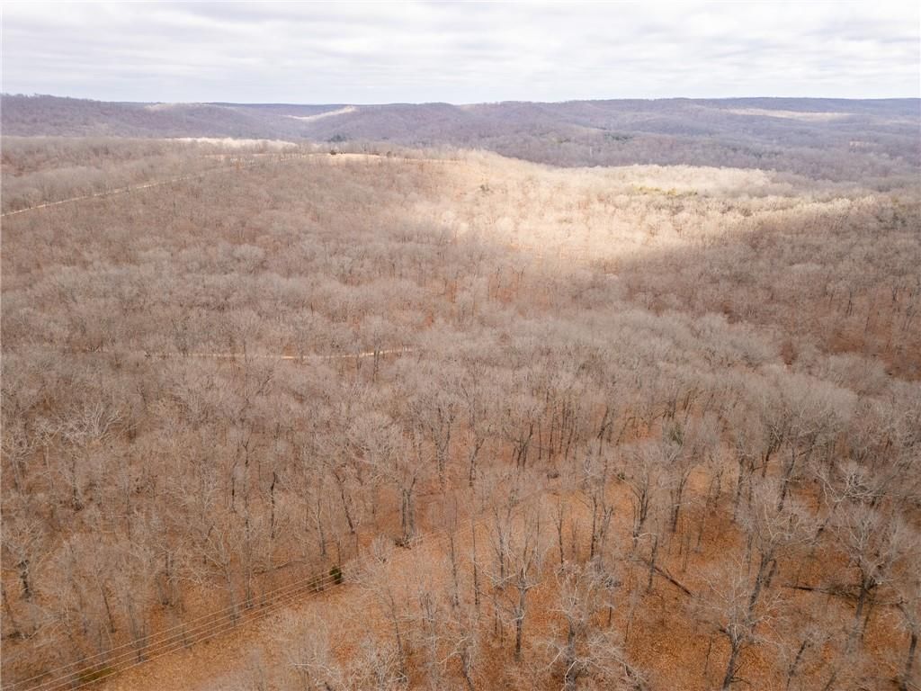 80 +/- Acres Proctor Lane — photo 51