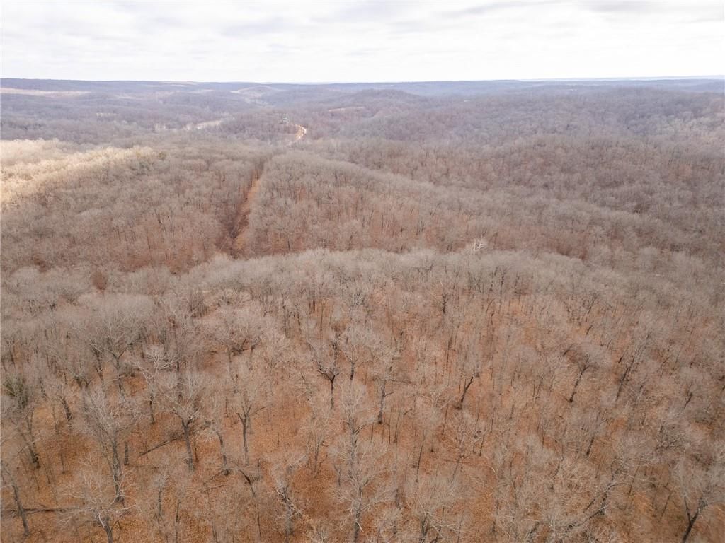 80 +/- Acres Proctor Lane — photo 52