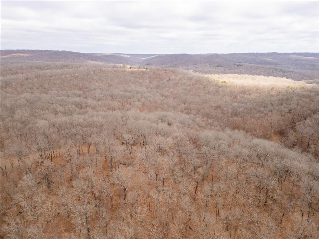 80 +/- Acres Proctor Lane — photo 53