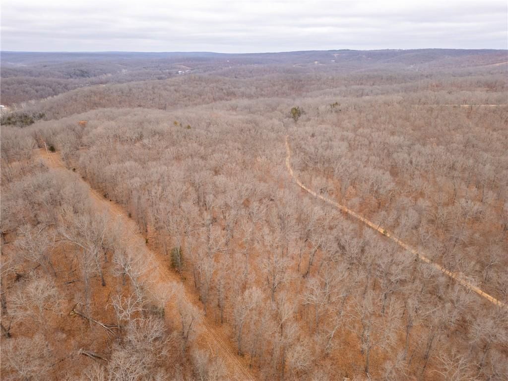 80 +/- Acres Proctor Lane — photo 54