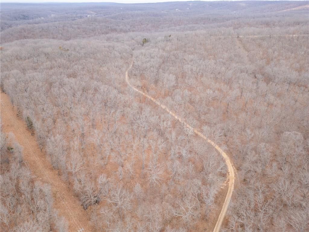 80 +/- Acres Proctor Lane — photo 56