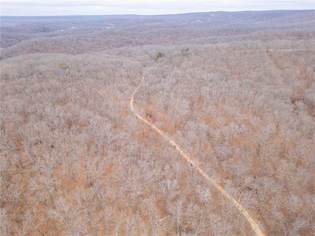 80 +/- Acres Proctor Lane — photo 57