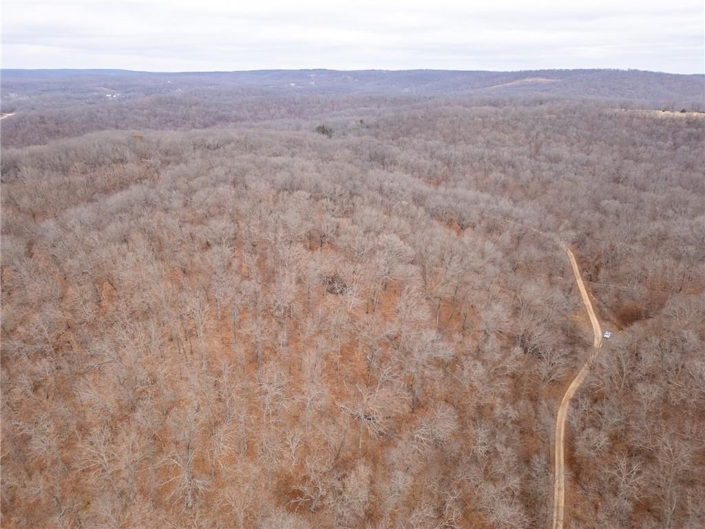 80 +/- Acres Proctor Lane — photo 58