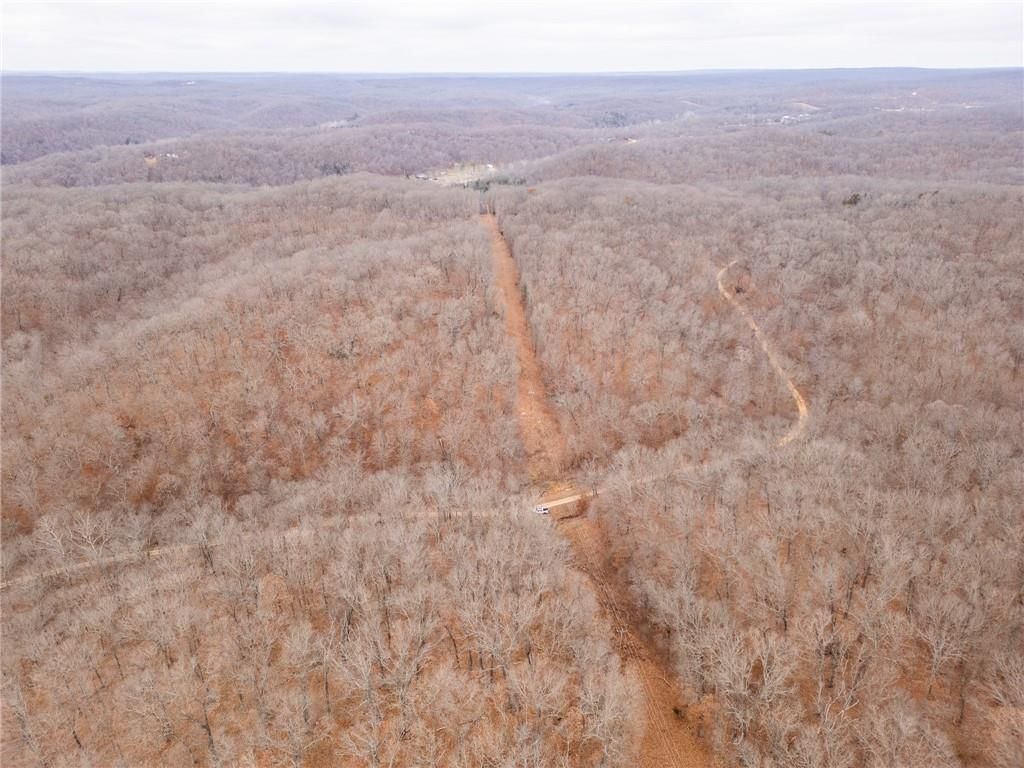 80 +/- Acres Proctor Lane — photo 61