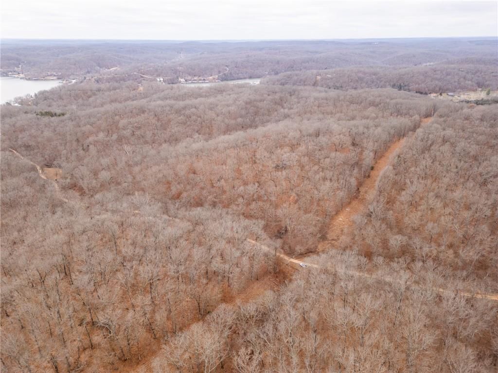 80 +/- Acres Proctor Lane — photo 62