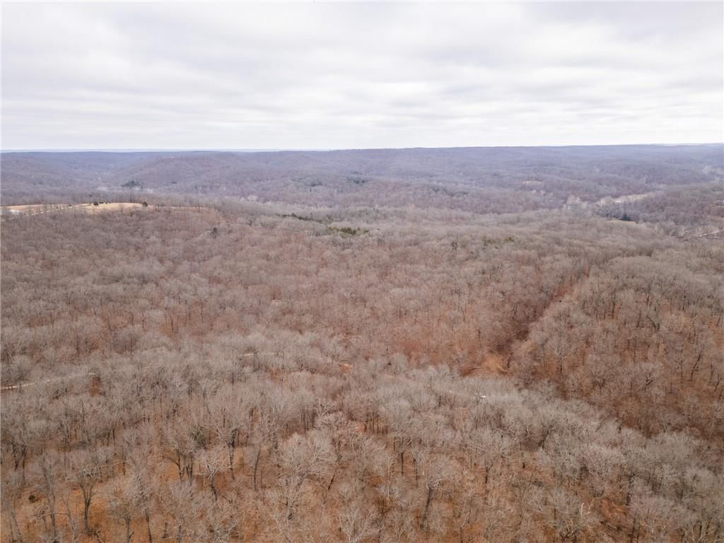 80 +/- Acres Proctor Lane — photo 67