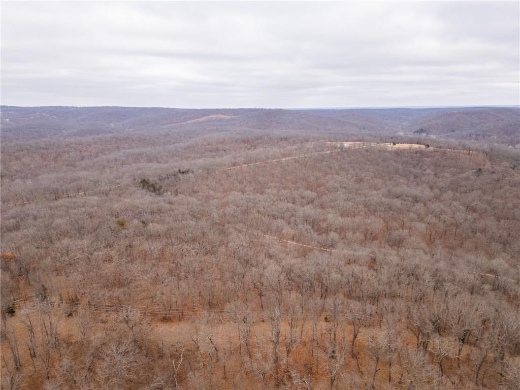 80 +/- Acres Proctor Lane — photo 68