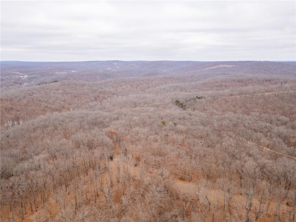 80 +/- Acres Proctor Lane — photo 69