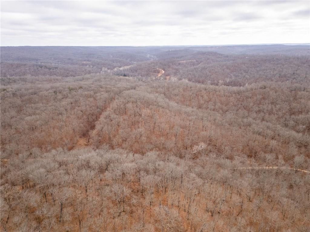 80 +/- Acres Proctor Lane — photo 70