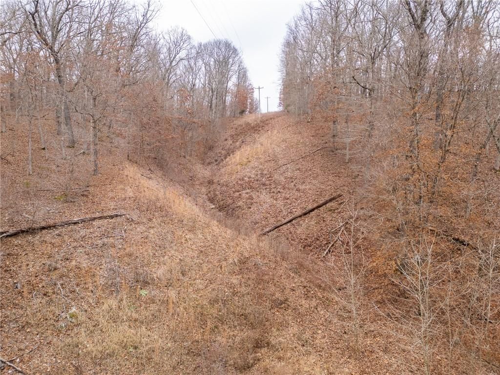 80 +/- Acres Proctor Lane — photo 71
