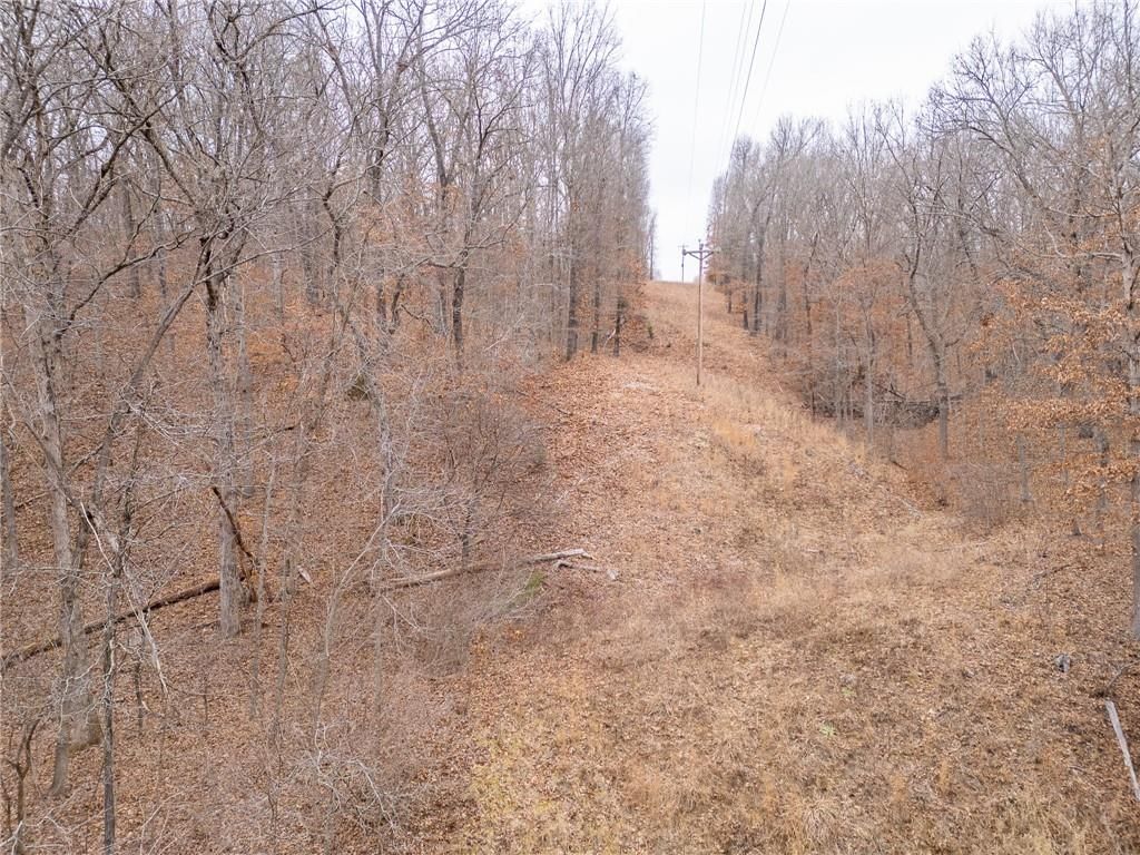 80 +/- Acres Proctor Lane — photo 72