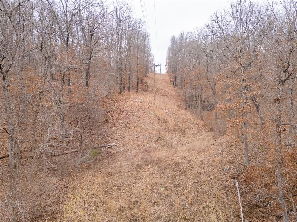 80 +/- Acres Proctor Lane — photo 73