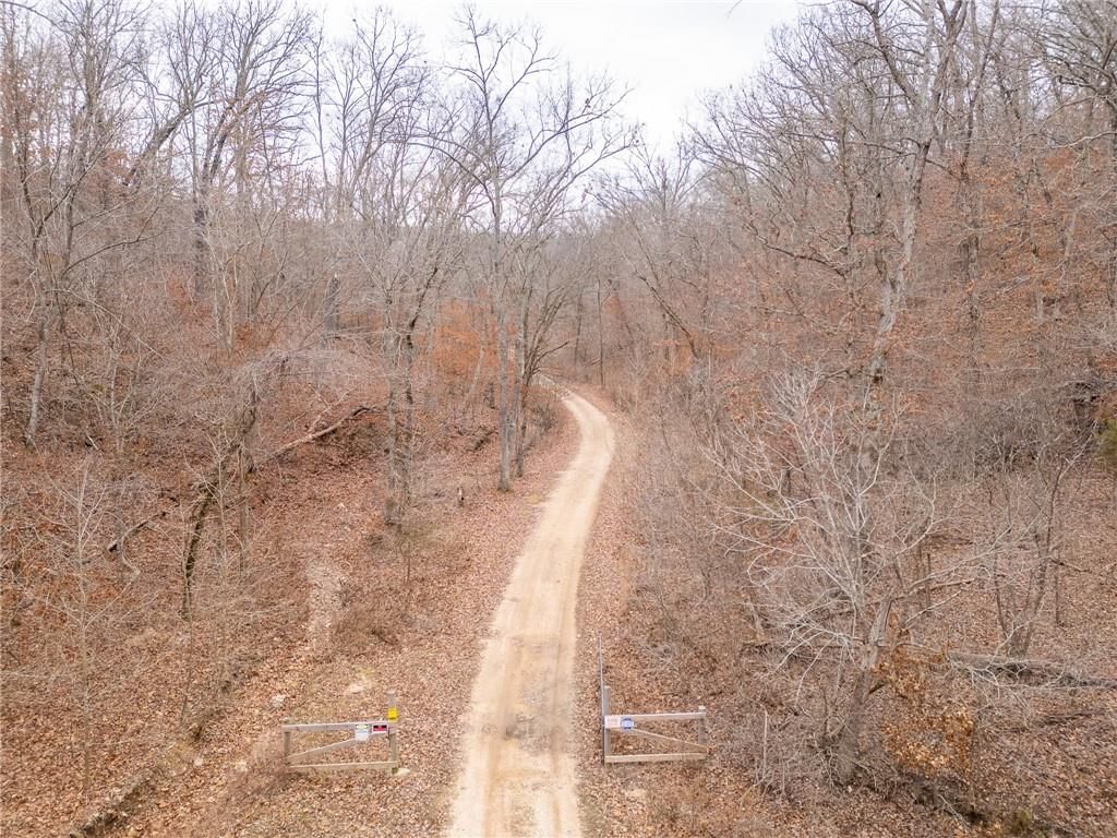 80 +/- Acres Proctor Lane — photo 74