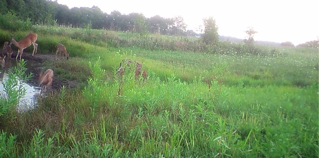 001 Stanton Road — photo 78