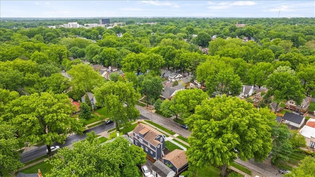 6446 Walnut Street — photo 39