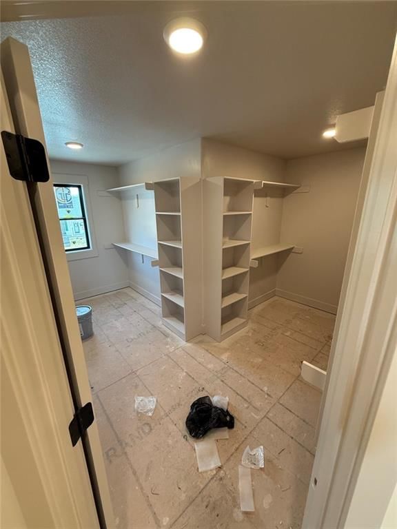12419 Morgan Street — photo 10