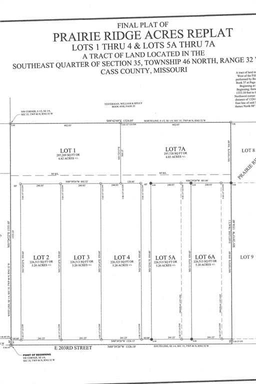 Lot 4 E 203rd Street — photo 3