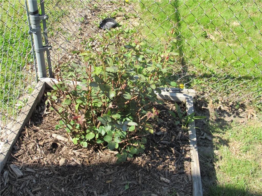 2011 S Harrison Avenue — photo 34