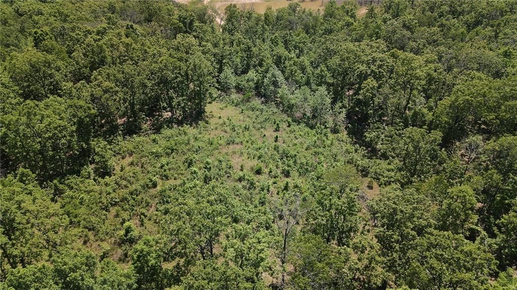 Tbd Knob Hollow Road — photo 13