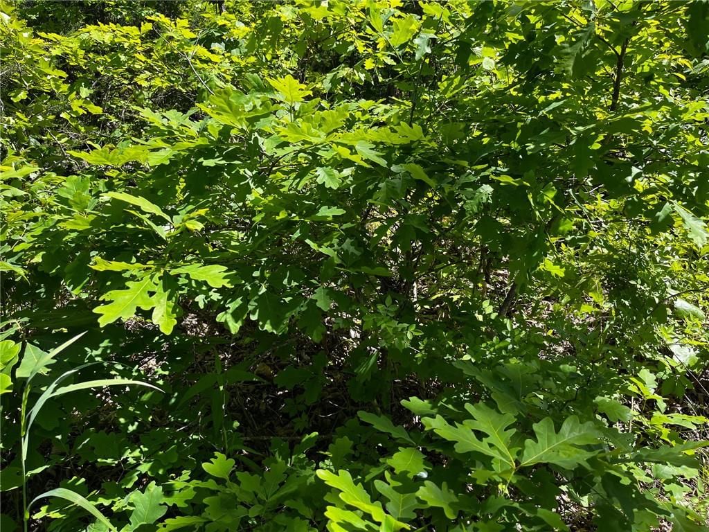 Tbd Knob Hollow Road — photo 17