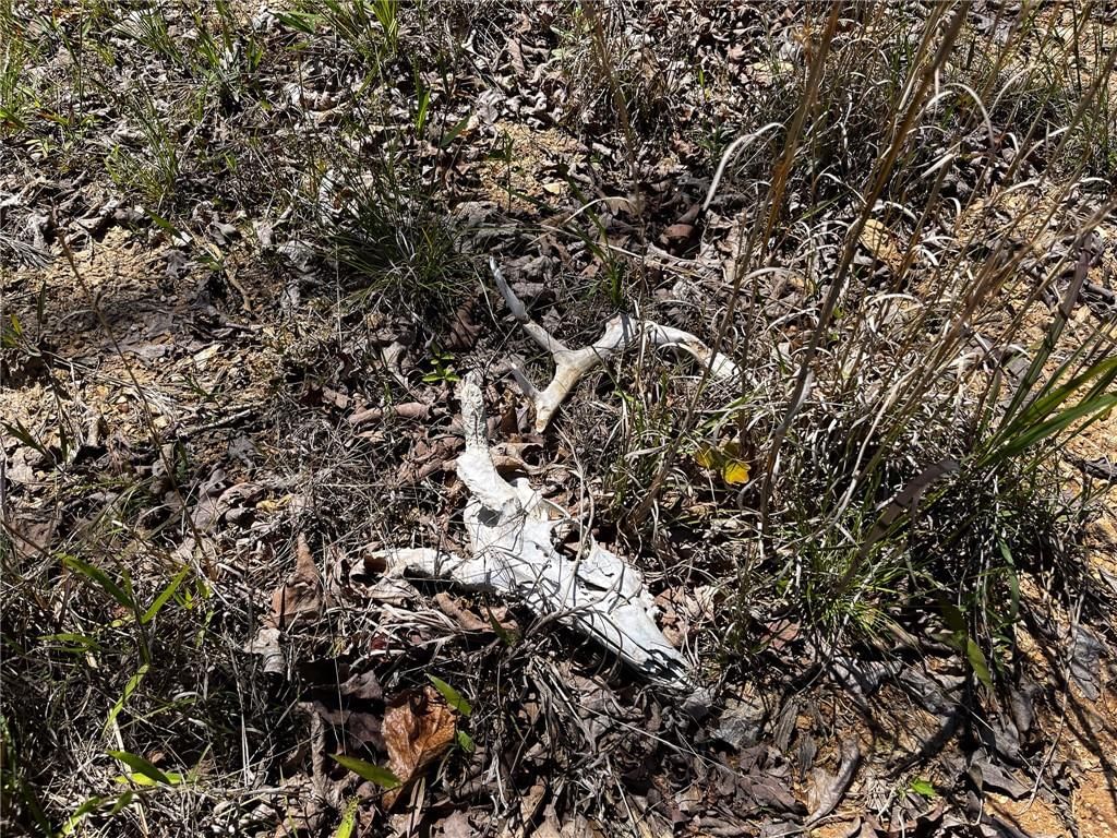 Tbd Knob Hollow Road — photo 18