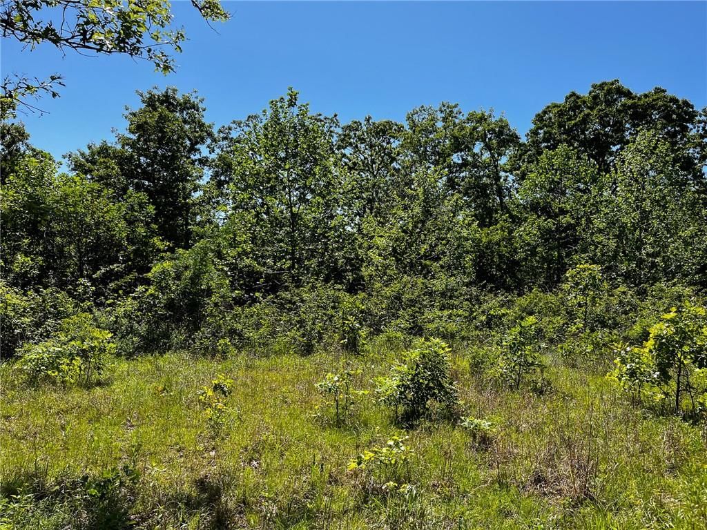 Tbd Knob Hollow Road — photo 27