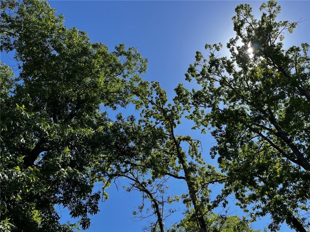 Tbd Knob Hollow Road — photo 29