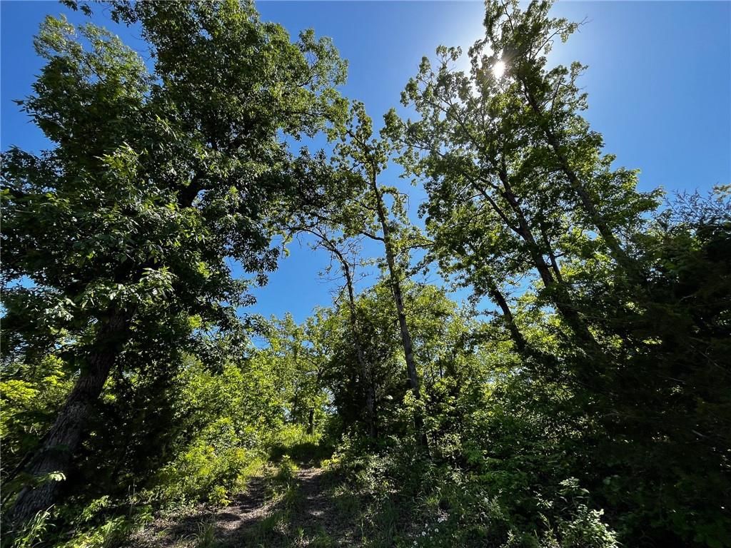 Tbd Knob Hollow Road — photo 30