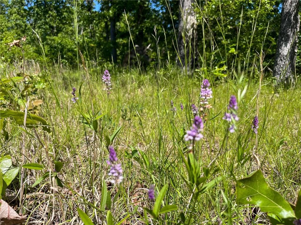 Tbd Knob Hollow Road — photo 32