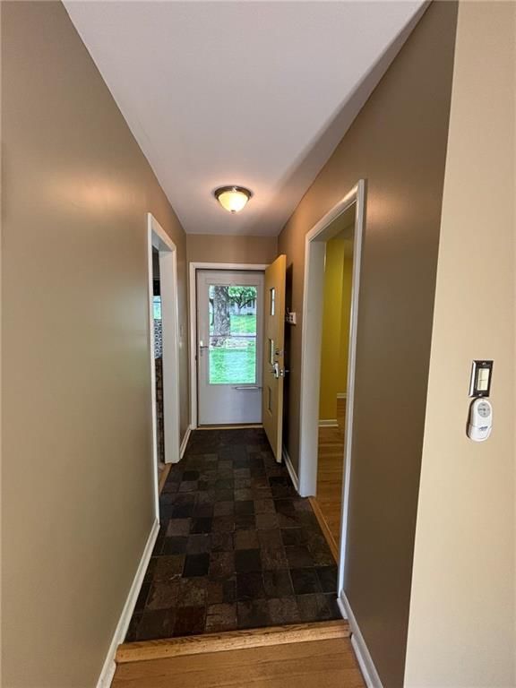 8806 Riley Street — photo 8