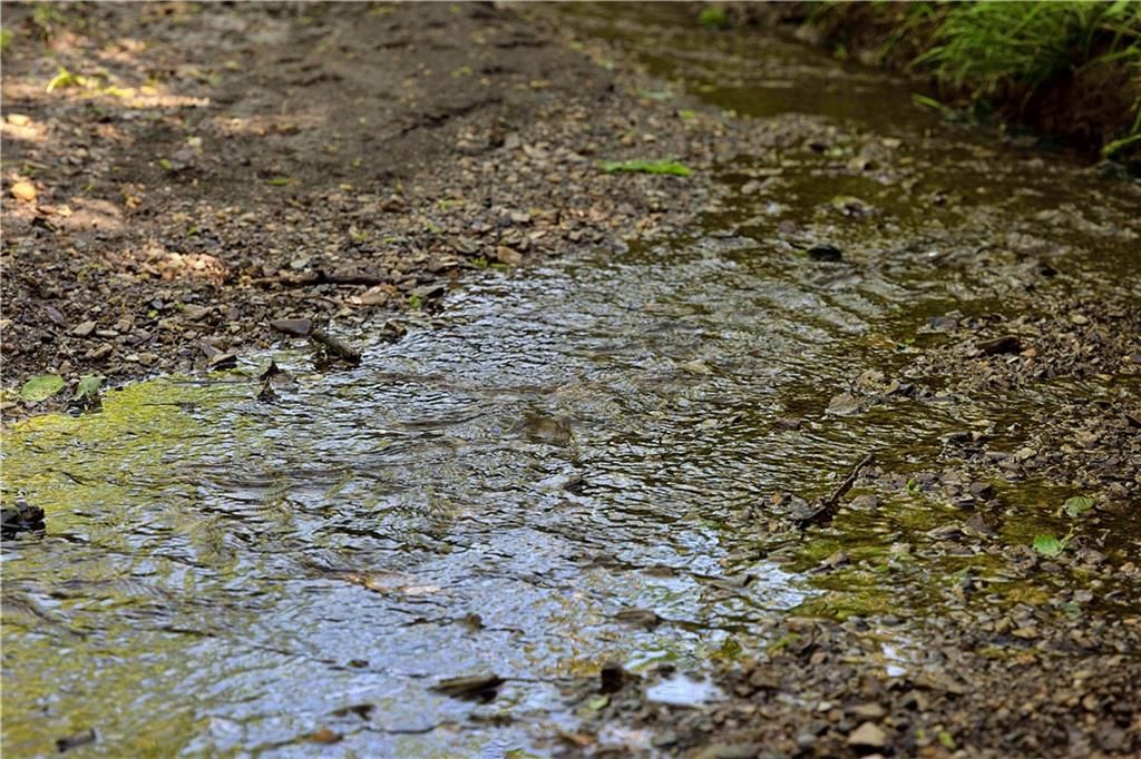 000 State Highway DD Highway — photo 16