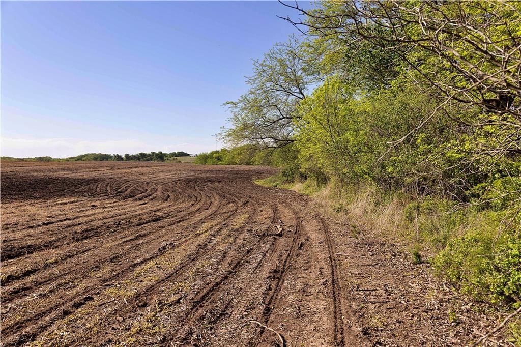 000 State Highway DD Highway — photo 25