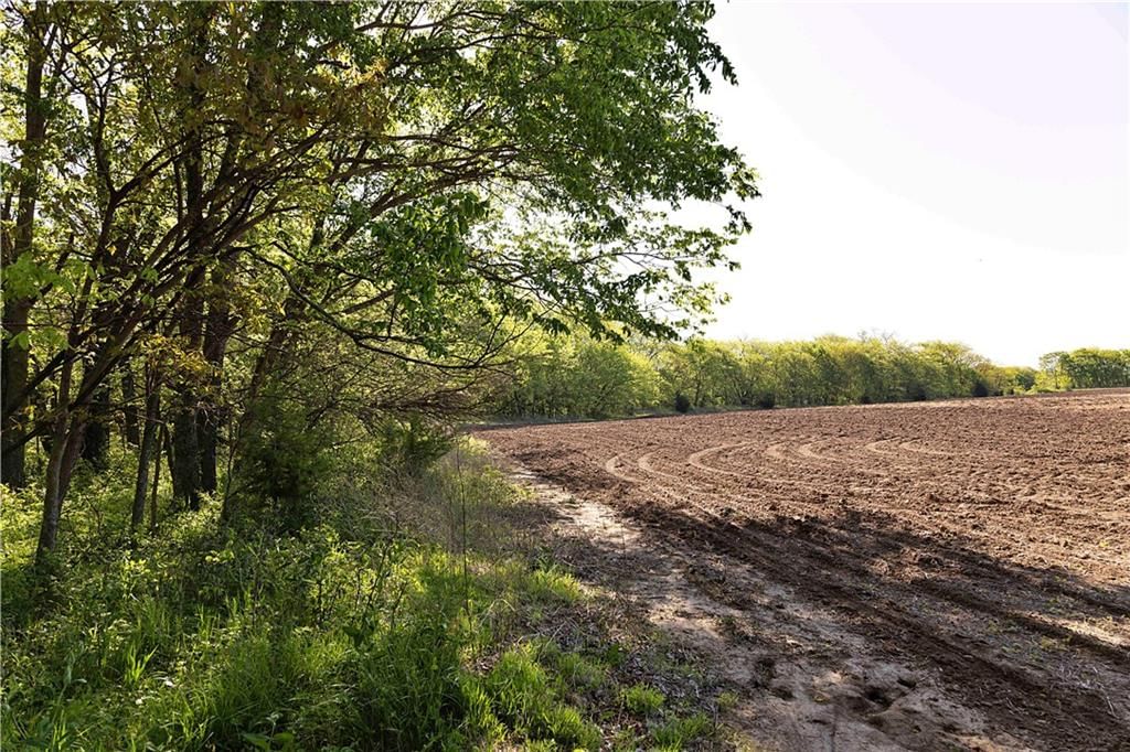000 State Highway DD Highway — photo 27