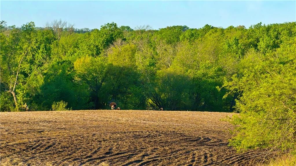 000 State Highway DD Highway — photo 45