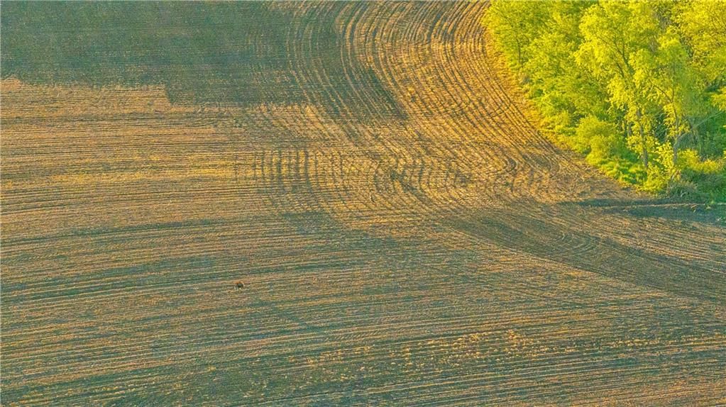 000 State Highway DD Highway — photo 58