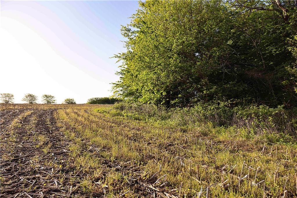 DD Highway — photo 26