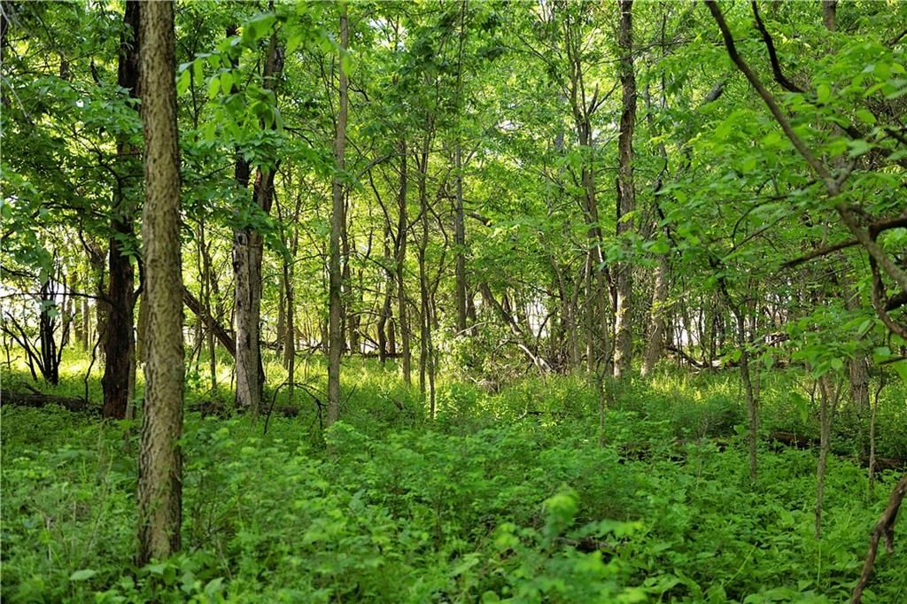 DD Highway — photo 28