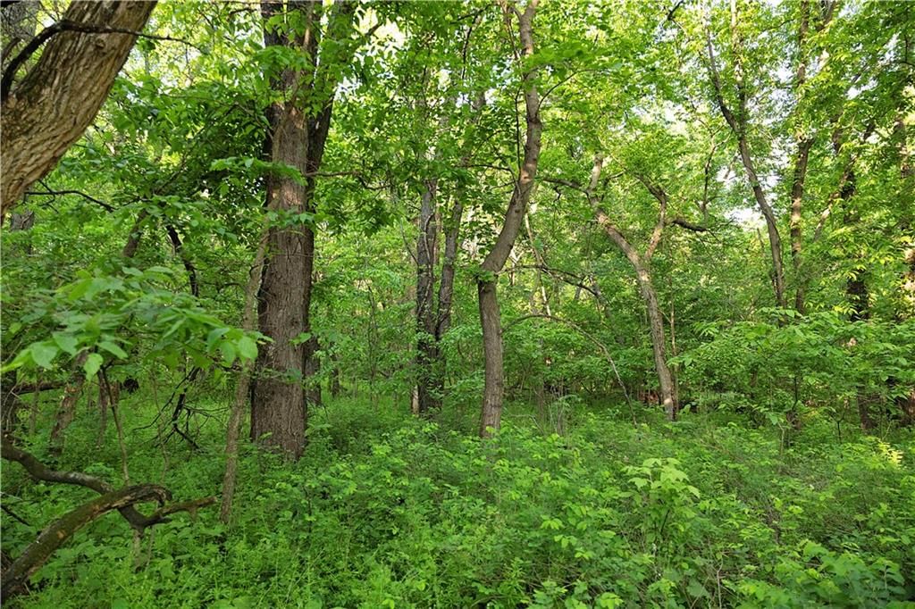 DD Highway — photo 29