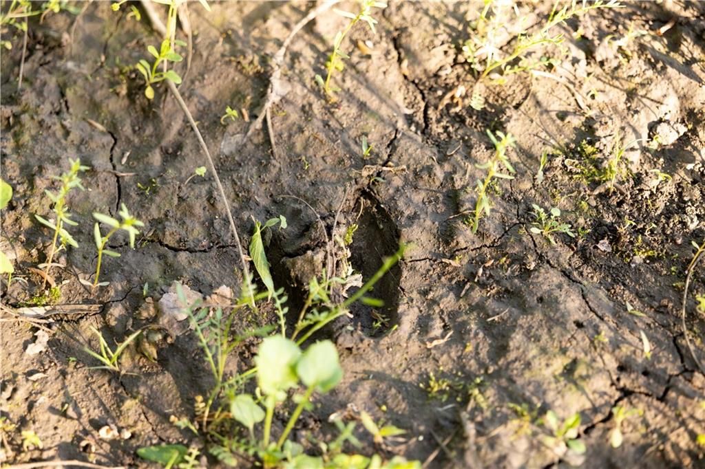 DD Highway — photo 33