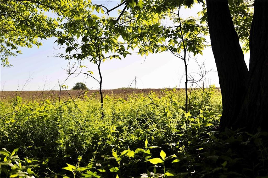 DD Highway — photo 36