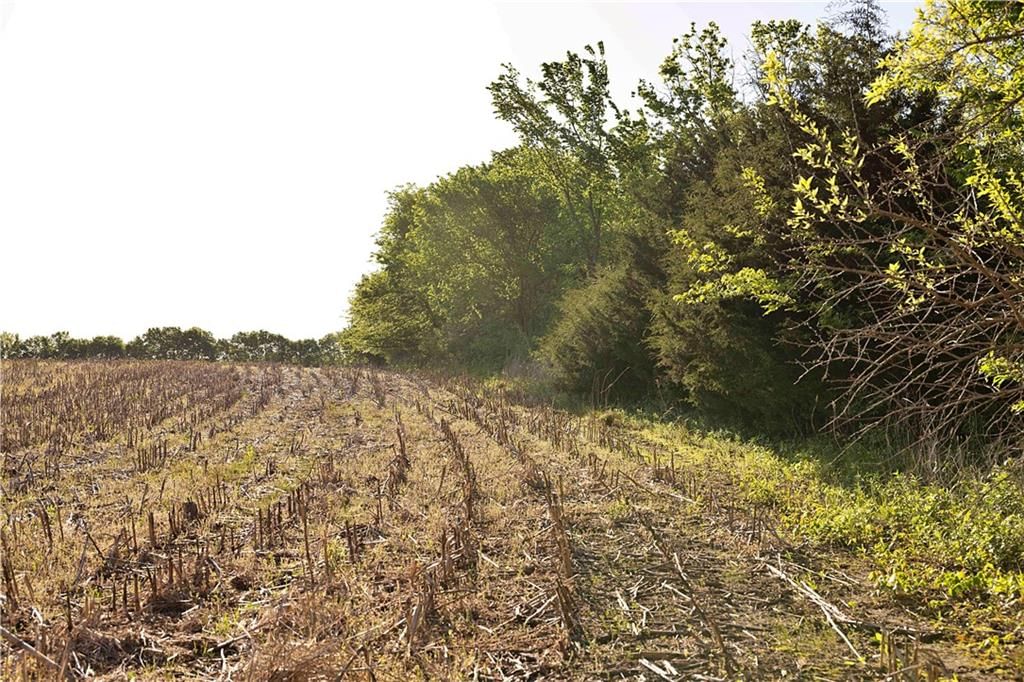 DD Highway — photo 44