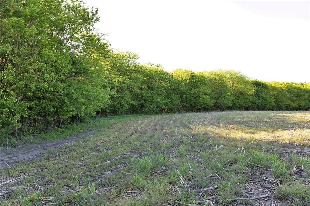 DD Highway — photo 46