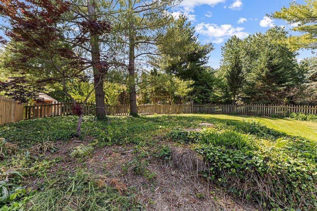 513 Pinewood Drive — photo 65
