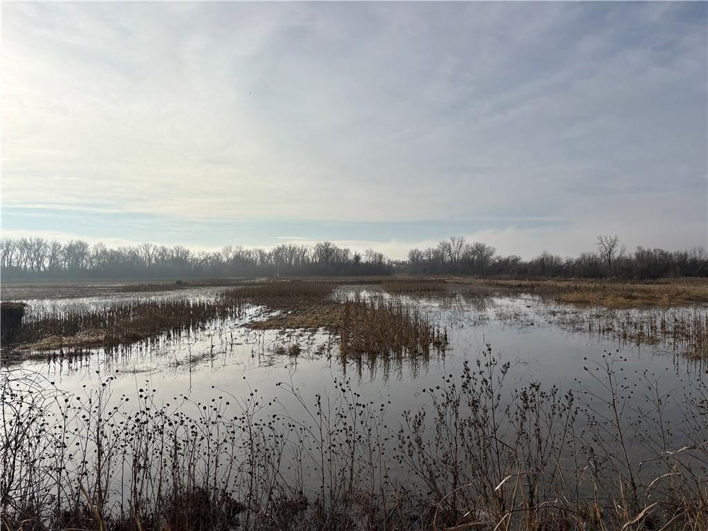 25303 N 45 Hwy Spur N/A — photo 19