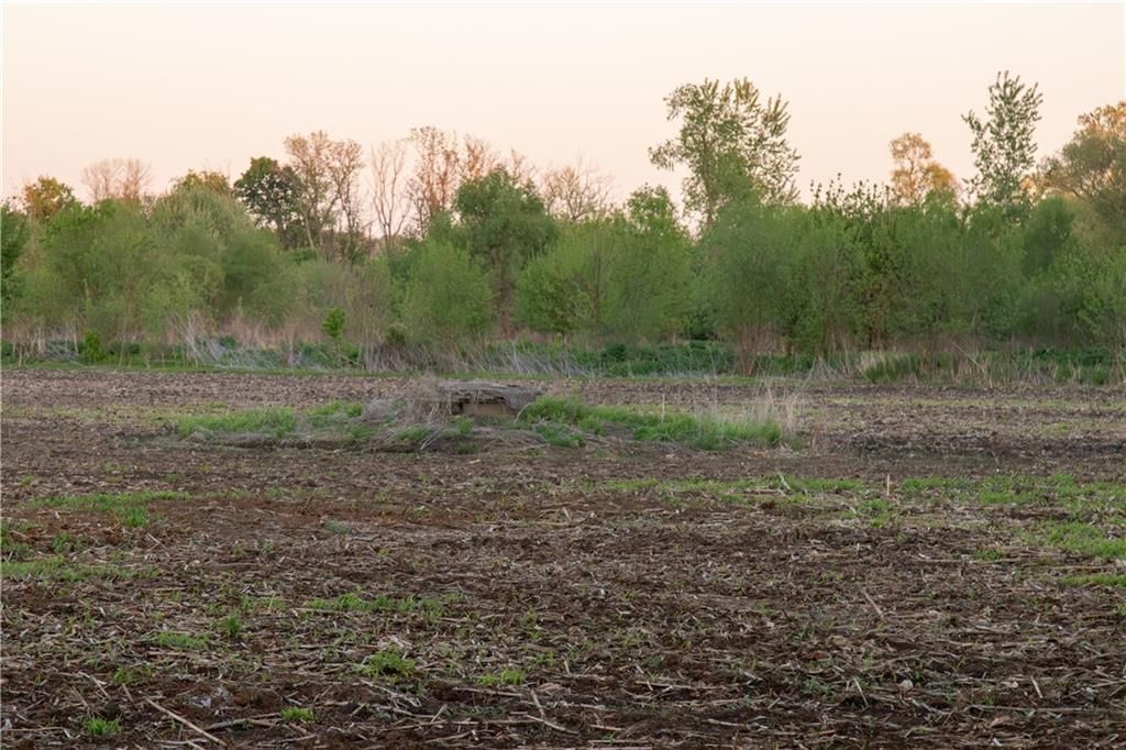 25303 N 45 Hwy Spur N/A — photo 26