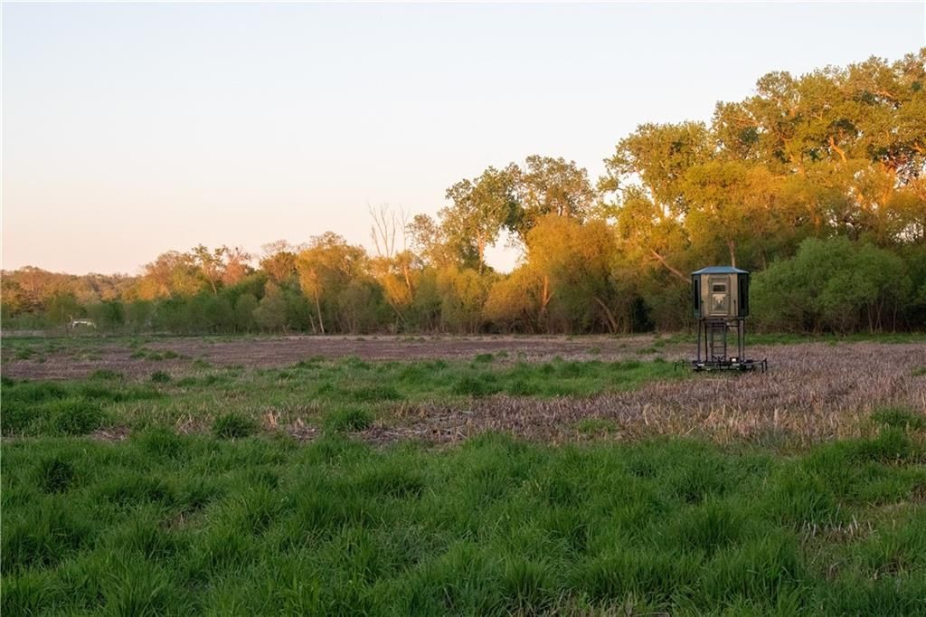 25303 N 45 Hwy Spur N/A — photo 31